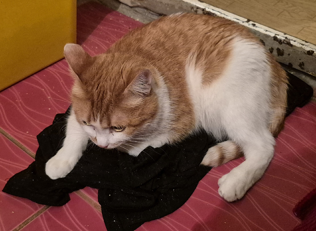 бросаю то, что в стирку, на пол, и тут же кто-то падает на эти вещи