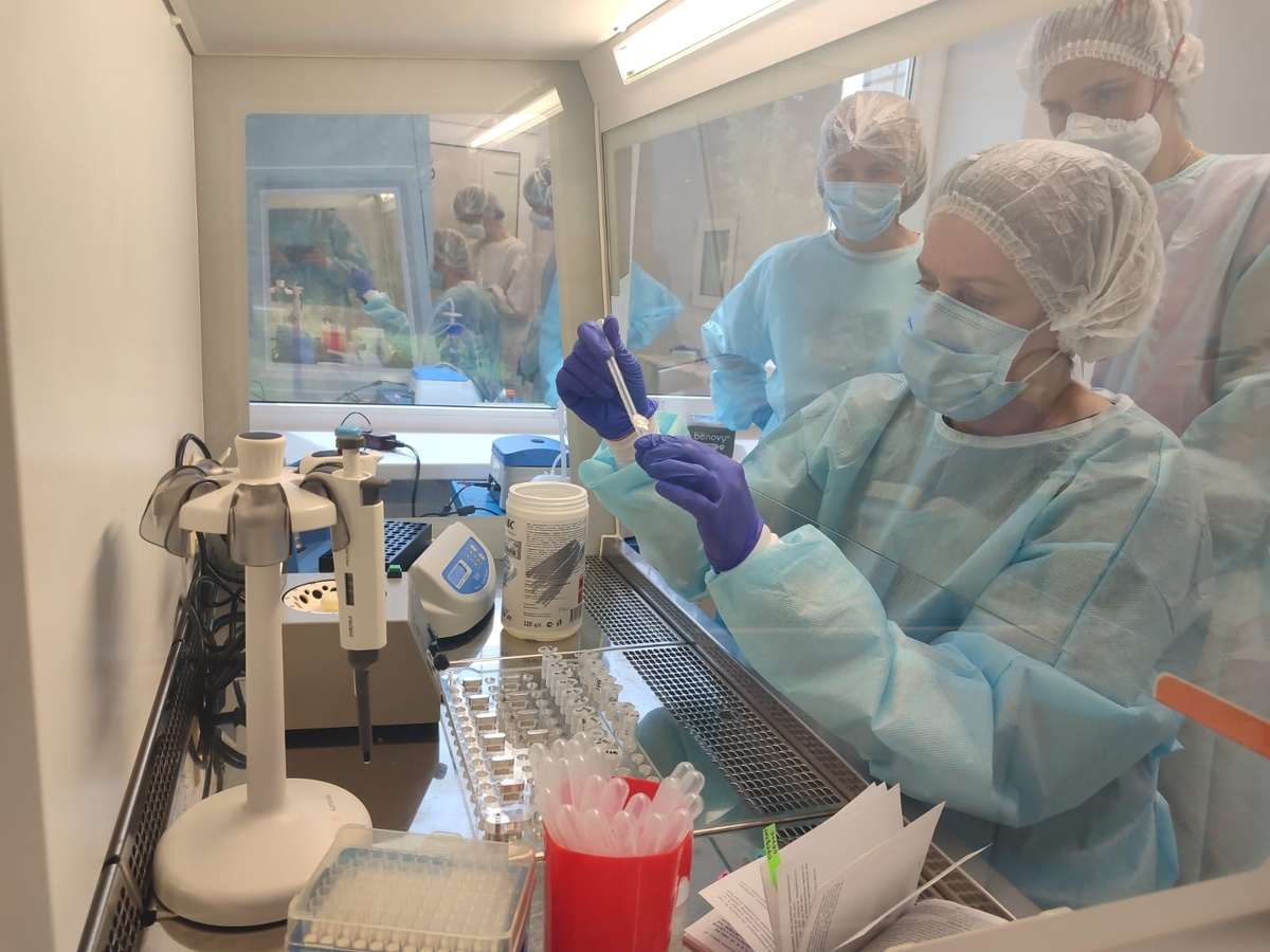    фото: © Правительство РК