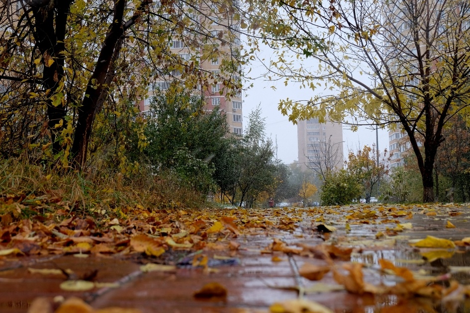 Москва прекрасна в любое время года) Можно ходить не переходить. 