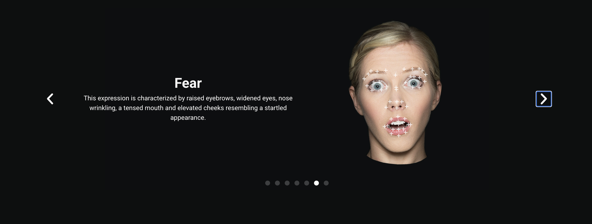 Источник: https://www.realeyesit.com/technology/emotion/