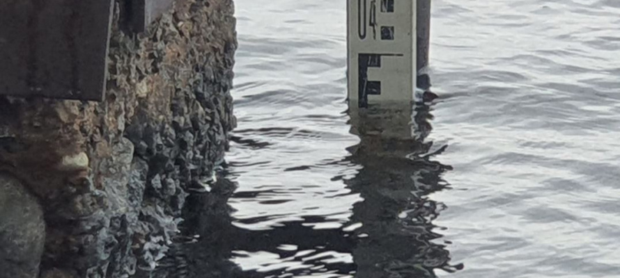    фото: © Минприроды Карелии