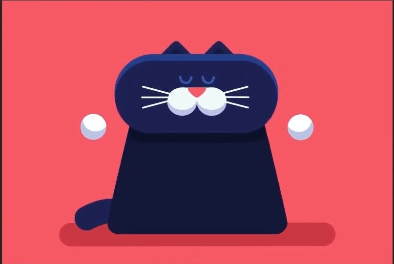 Yoga cat