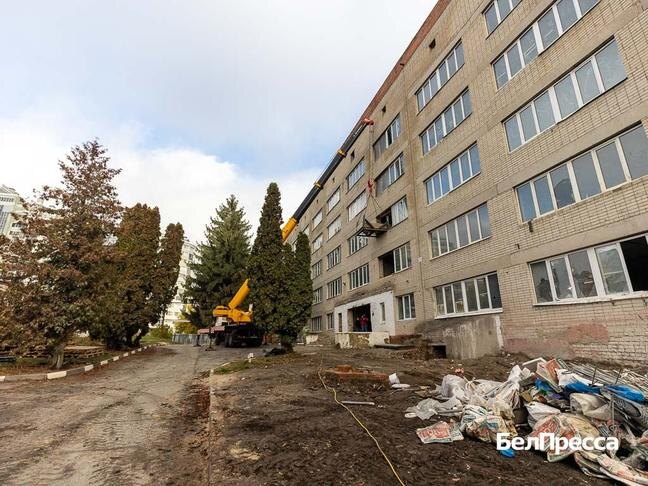 Фото: Алексей Дацковский