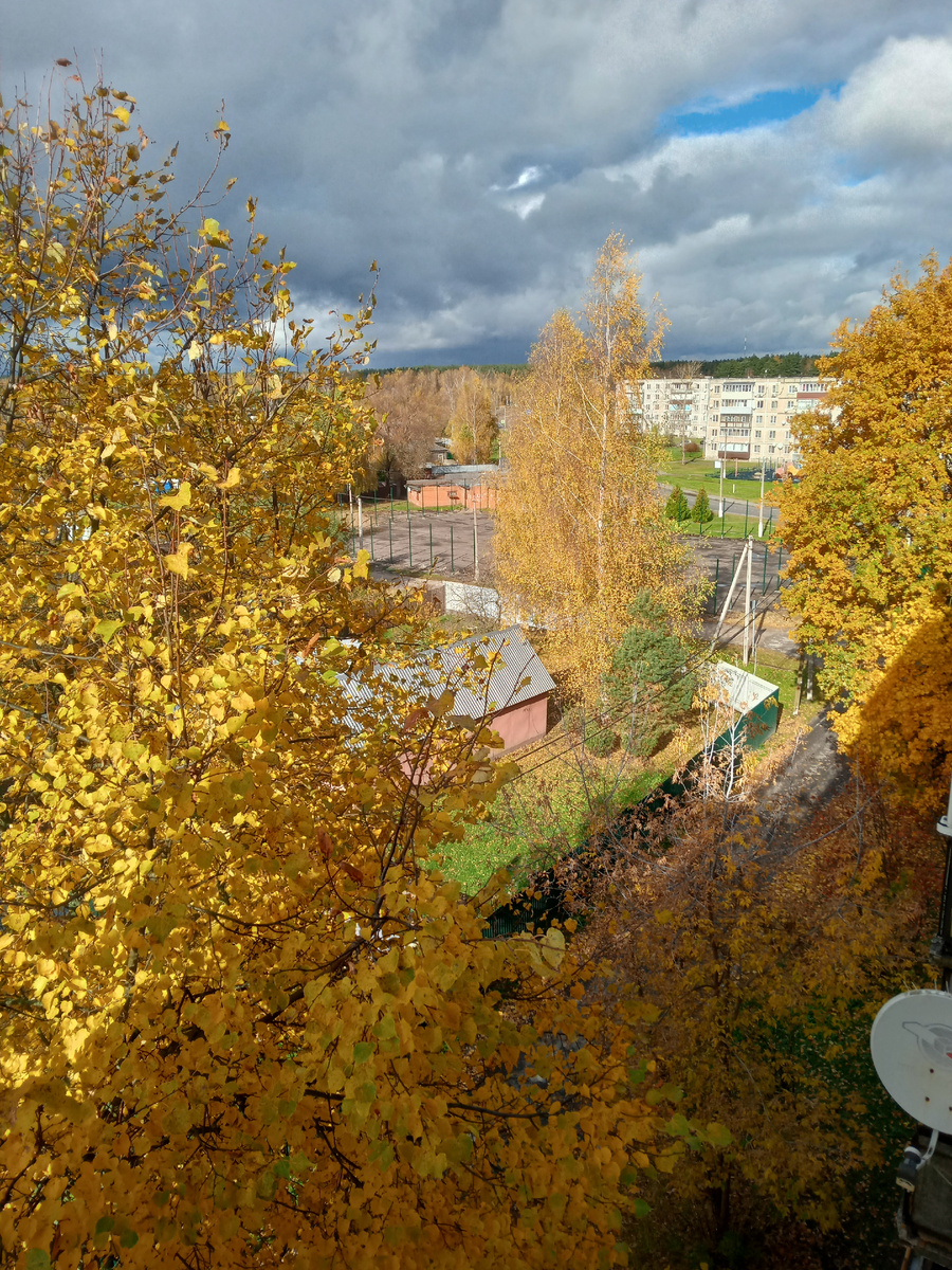 Все фото автора.