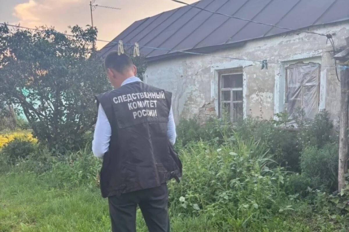    Вступившаяся за мать жительница Воронежской области зарезала сожителя