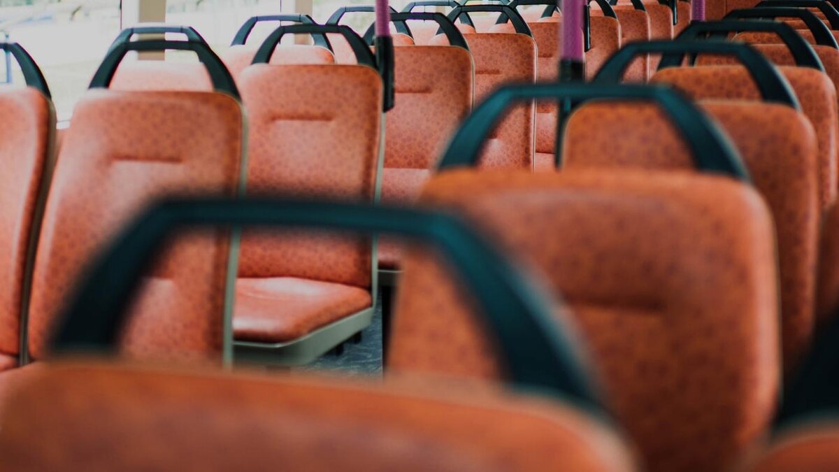    Фото: pxhere.com