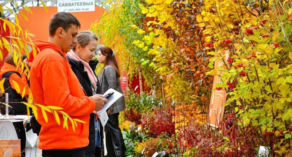    Фото: пресс-службы Администрации г.о. Химки