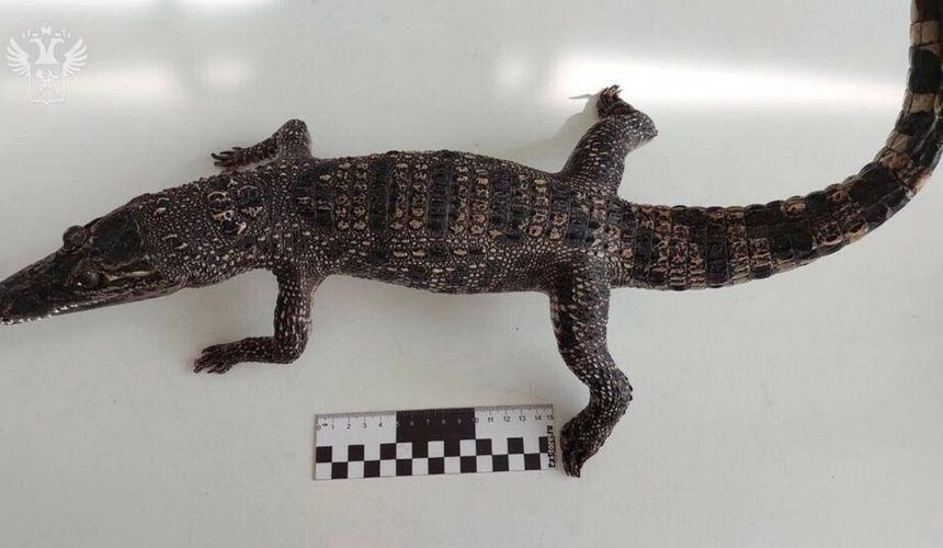 Фото с сайта https://www.tourdom.ru/