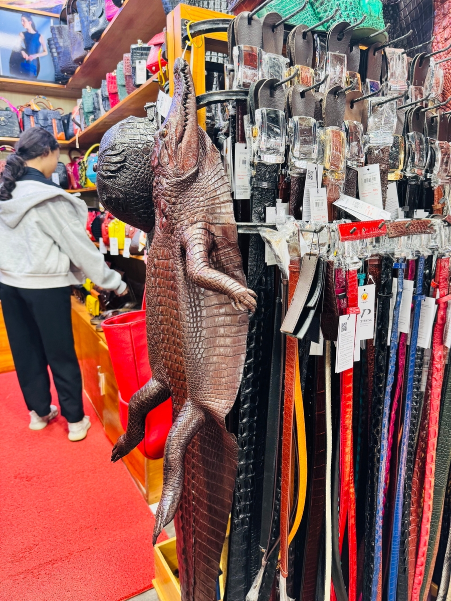 Купить крокодила, его чучело или изделия из его кожи, действительно во Вьетнаме проще простого. Это уже мое фото с рынка Нячанга