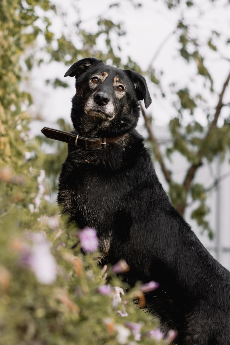 Я красавчик...думает Арчуня!