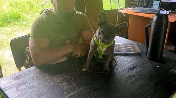    © telegram ukr_2025_ru