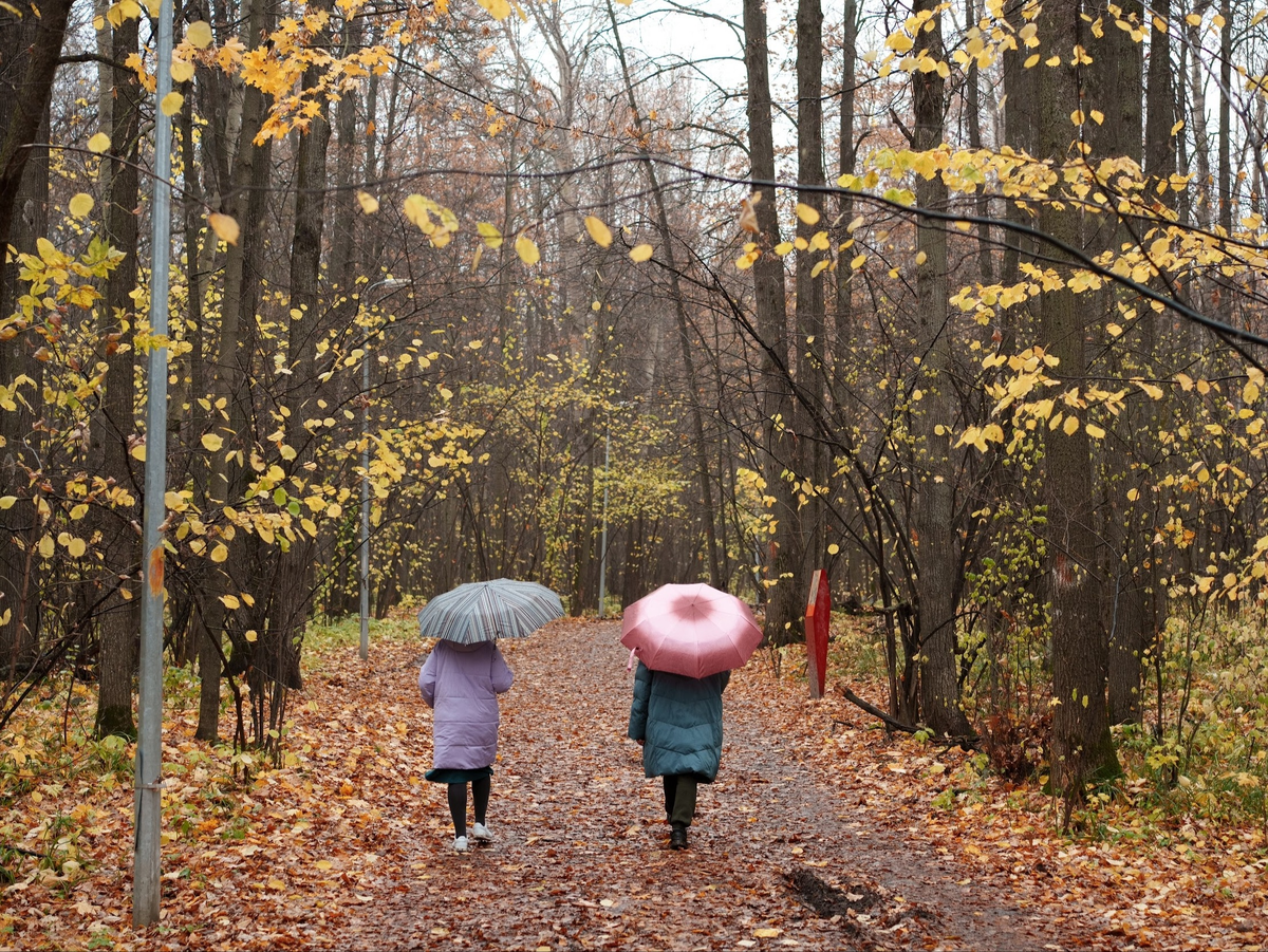 Источник: дирекция парков и скверов
