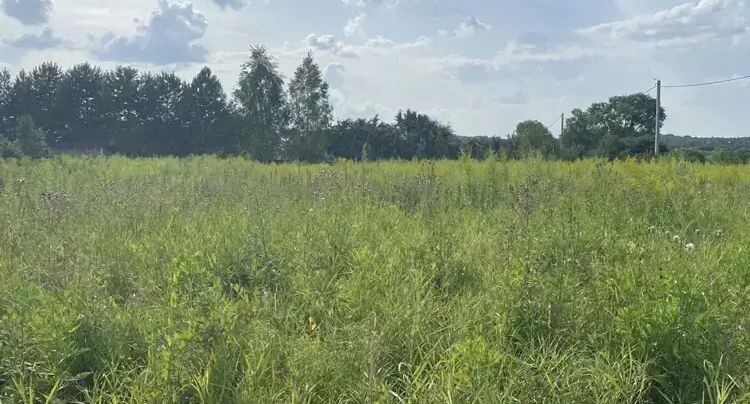    Участок на торгах в г. о.Кашира / Единый портал торгов Московской области ЕАСУЗ