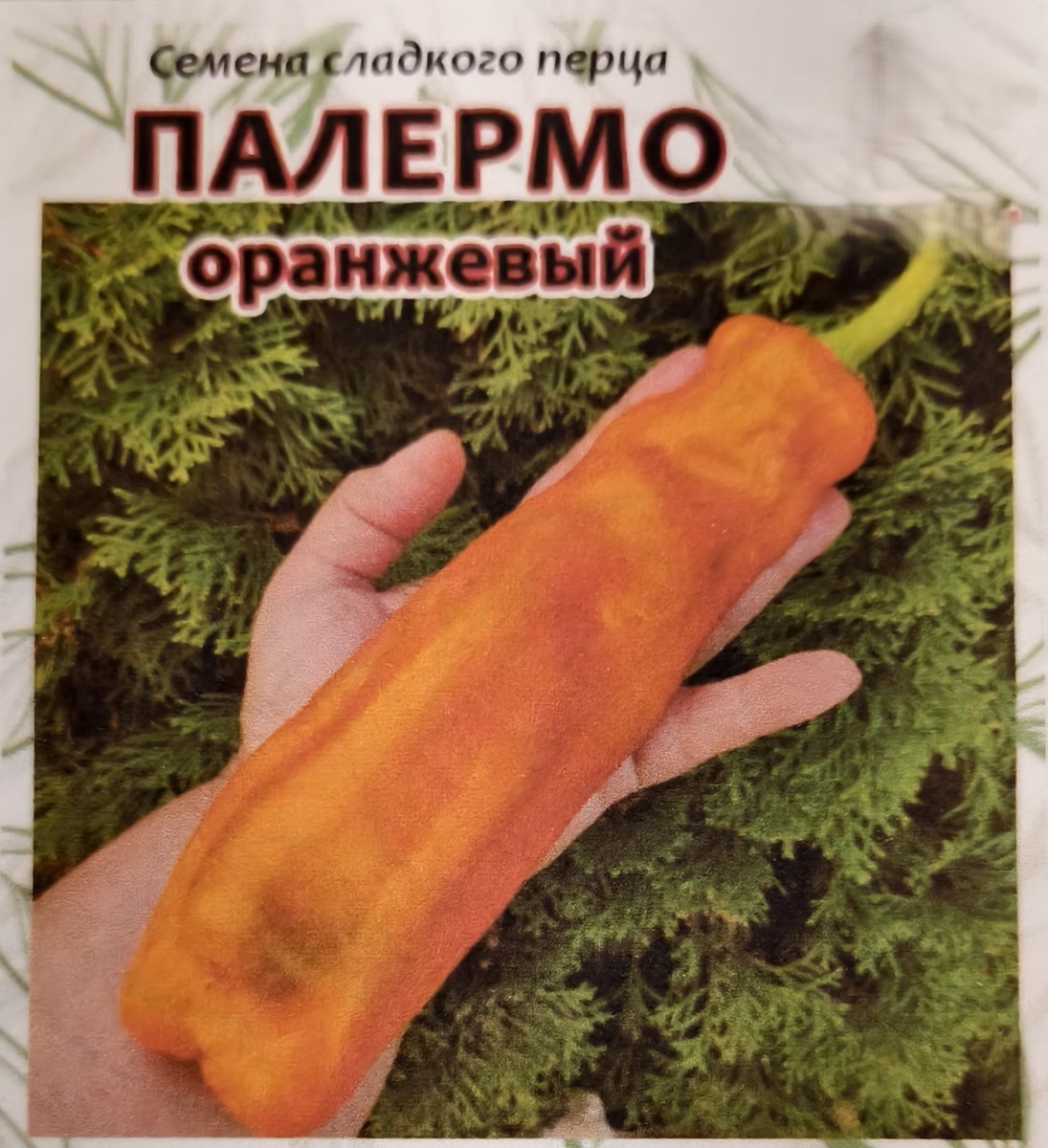 Перец "Палермо оранжевый"