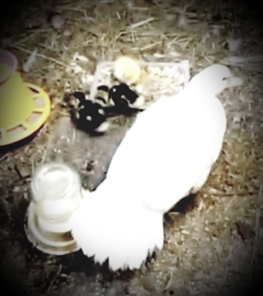 Фото автора статьи 28.10.2025г.