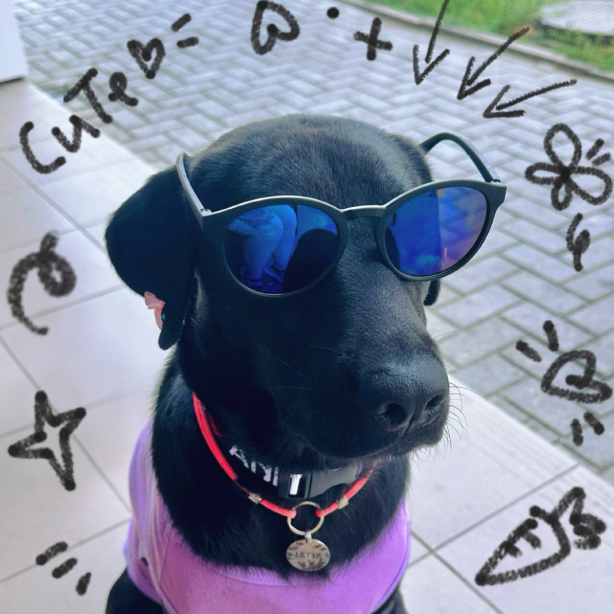 Фото автора. Модная Джули