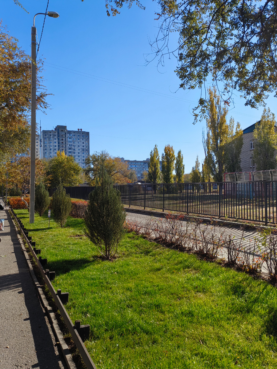 По дороге к врачу