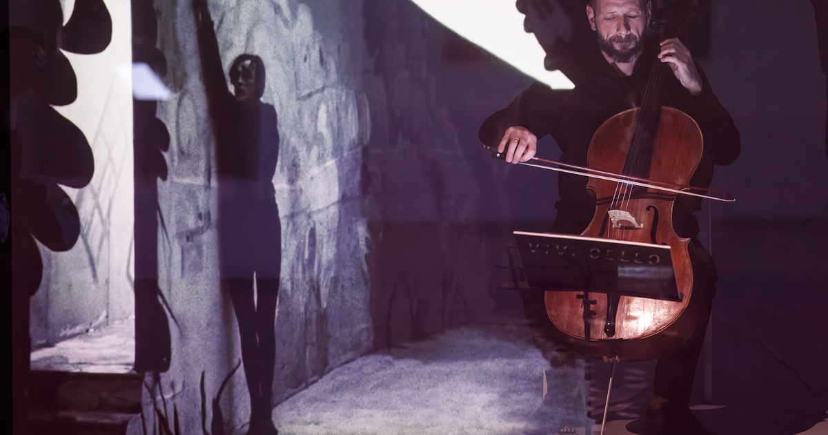    В Москве состоится XVII Международный виолончельный фестиваль Vivacello (фото 1)