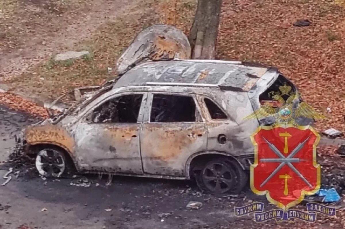    В Новомосковске задержали подозреваемого в поджоге автомобиля