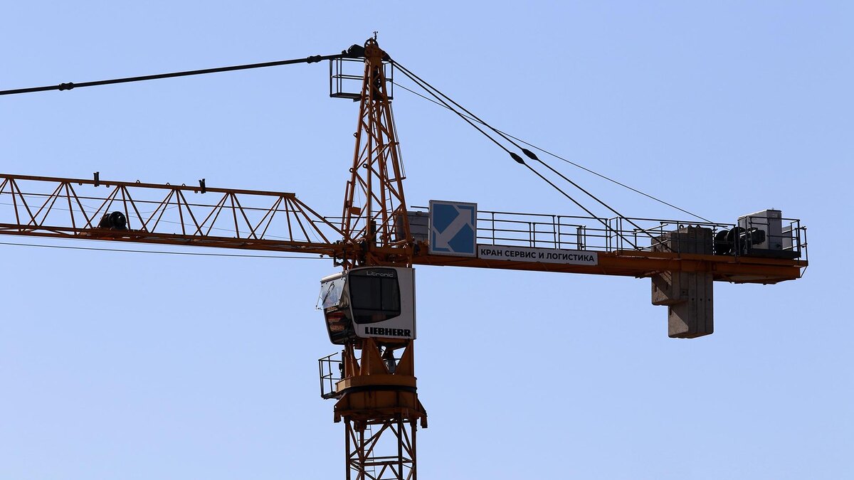    Фото: Maksim Konstantinov/globallookpress.com