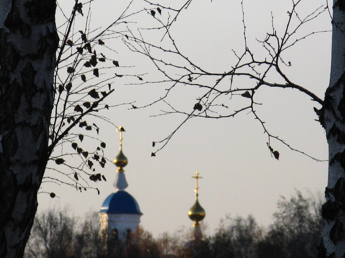 Что-то очень красивое в конце октября. Фото: Марина Н. Макарова, Омск, 28окт25.