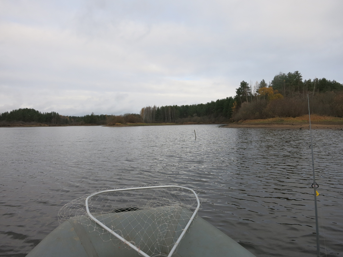 Вот здесь наглядно видно. И так везде, на всех старицах, заливах протоках...