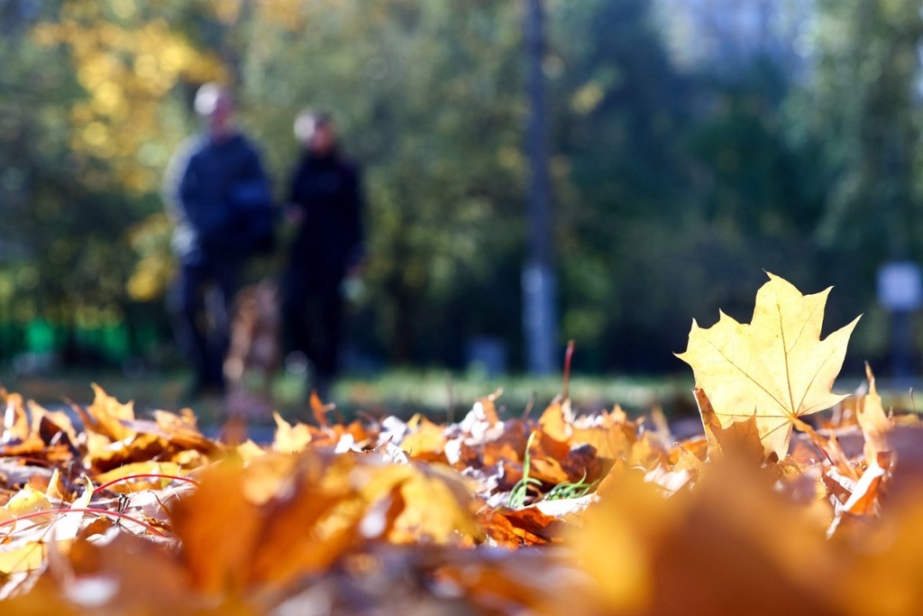    Фото © АГН «Москва» / Ярослав Чингаев