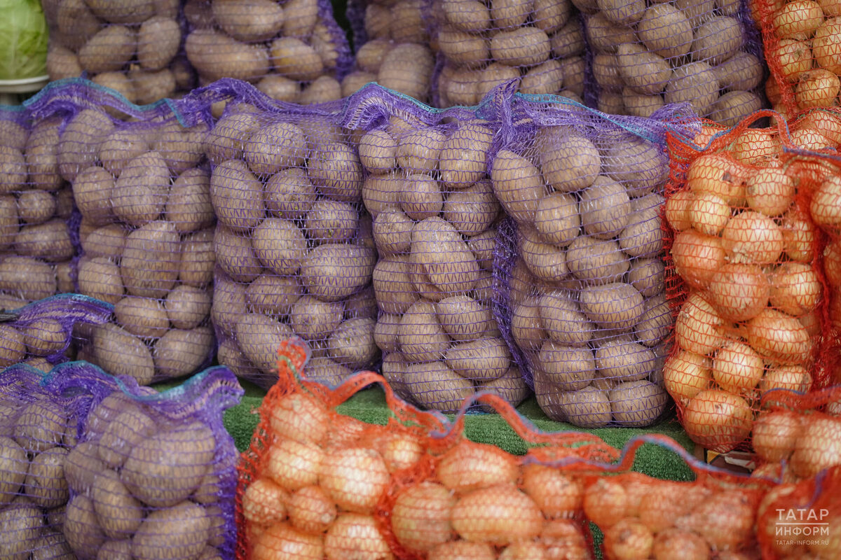 Фото: © Владимир Васильев / «Татар-информ»