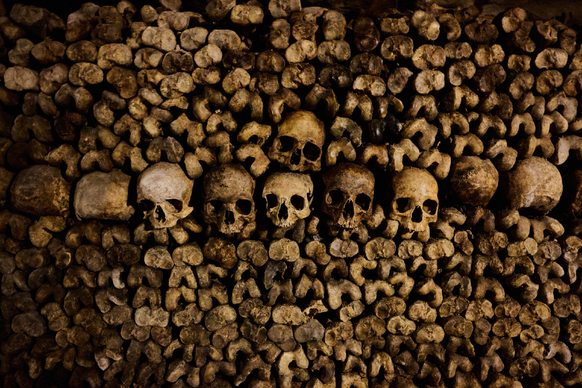 Источник: Vbrnrmrc / Shutterstock