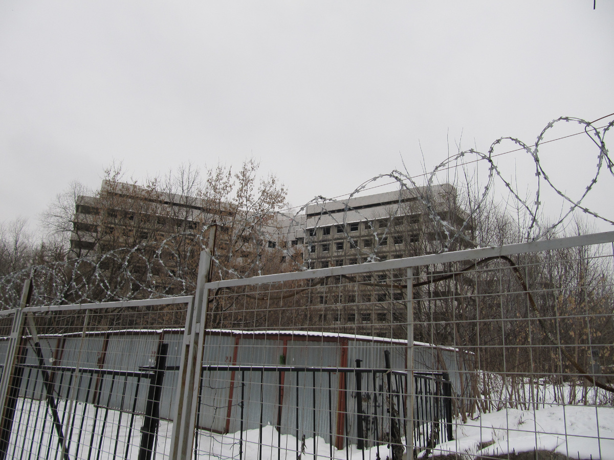 18 декабря 2010 года