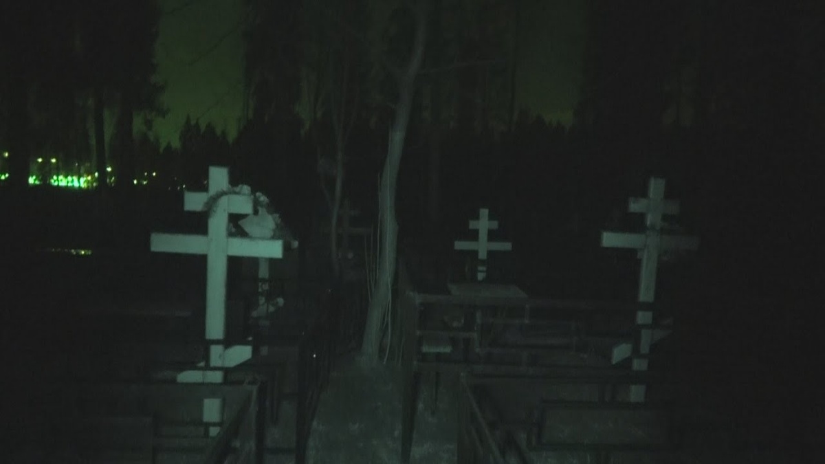 фото взято из открытого доступа сети интернет на Яндекс картинки