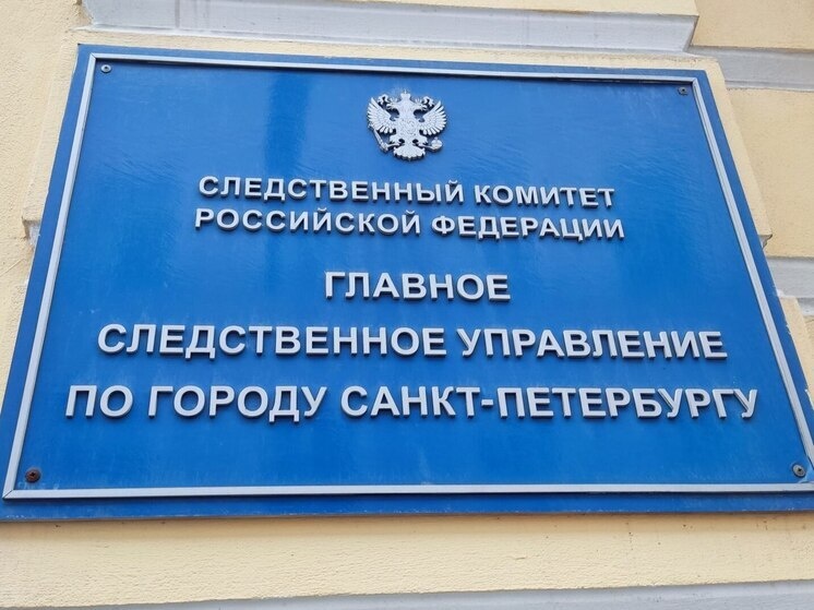     Судебно-психиатрическая экспертиза признала мужчину невменяемым. Фото: архив МК в Питере