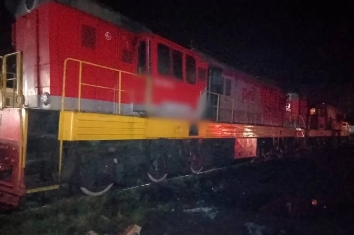    22-летнего задержали после поджога тепловоза в Ломоносове