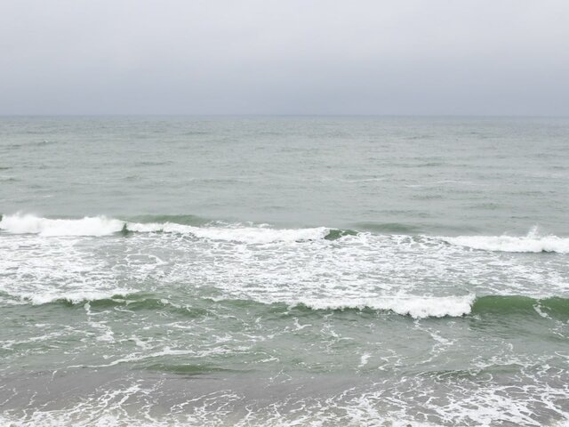    Фото: Москва 24/Антон Великжанин