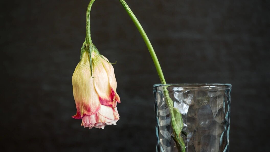    Фото: Galina Barbieri/Global Look Press