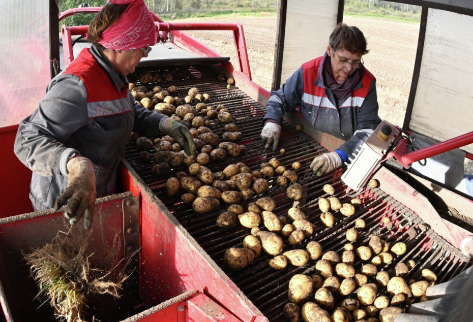   Илья Наймушин / РИА Новости