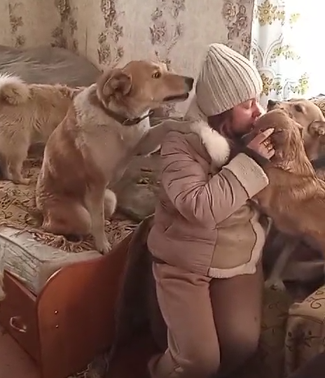 Бывают ли прозвища у собак?