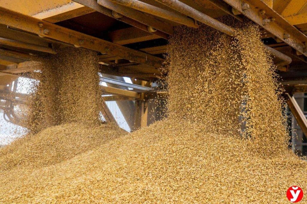 Фото: архив «Минской правды»