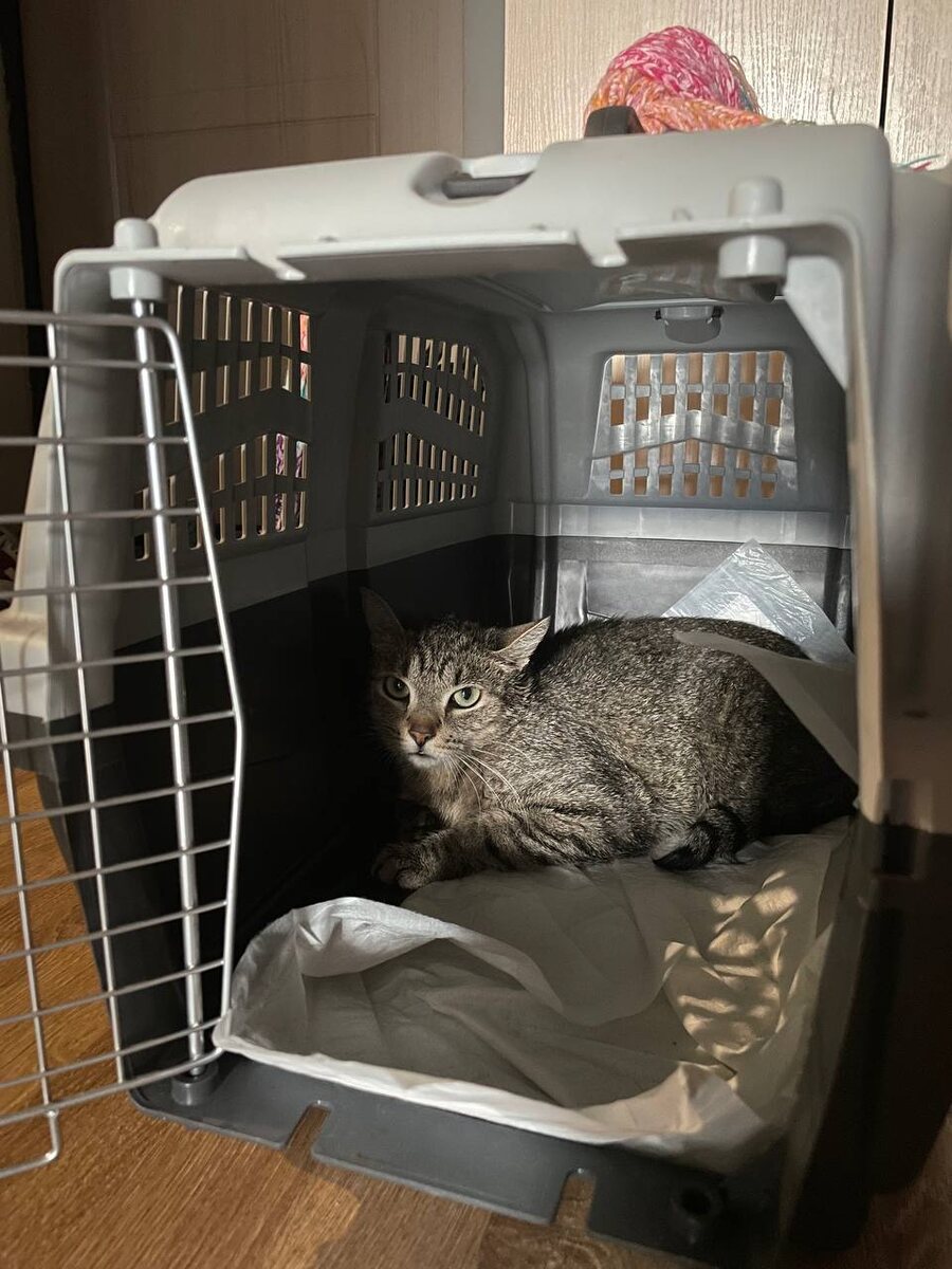 Милая, прости. Мы очень сильно ошиблись