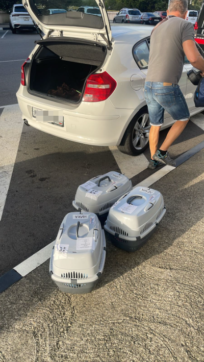 Это мы их уже встретили. 