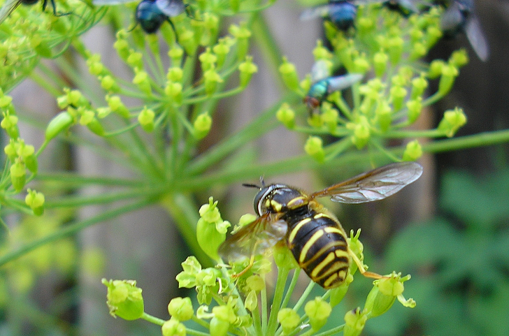 Героини статьи - на заднем плане, вспомнили?