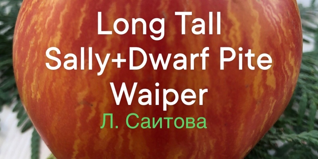 Мои любимые сорта