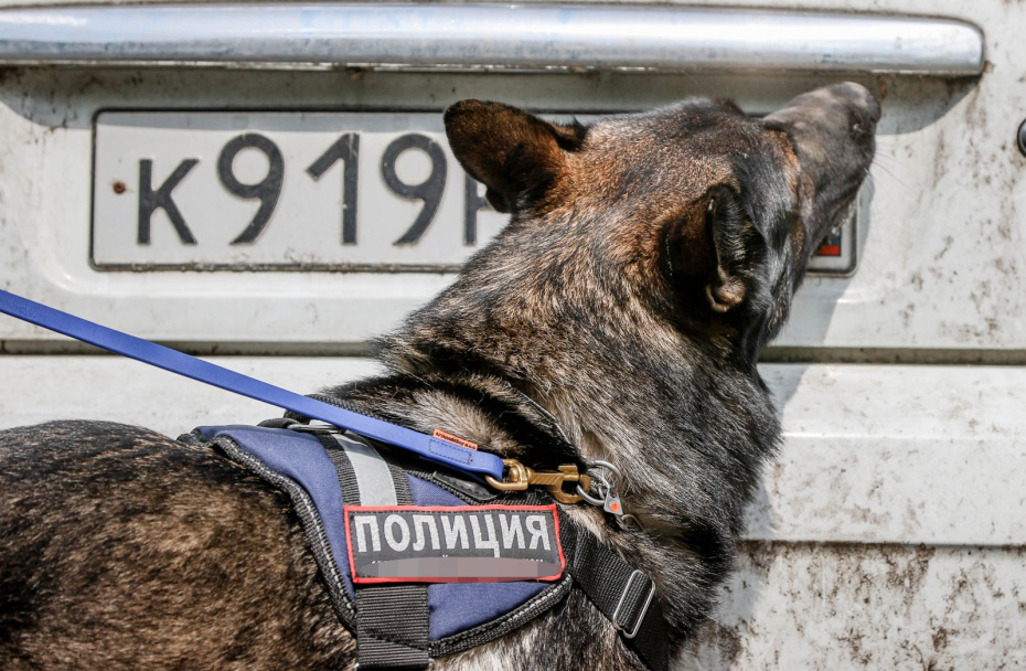    Сергей Булкин/NEWS.ru