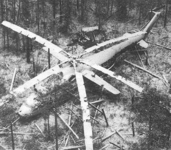 Фотография взята с сайта: immunocap.ru