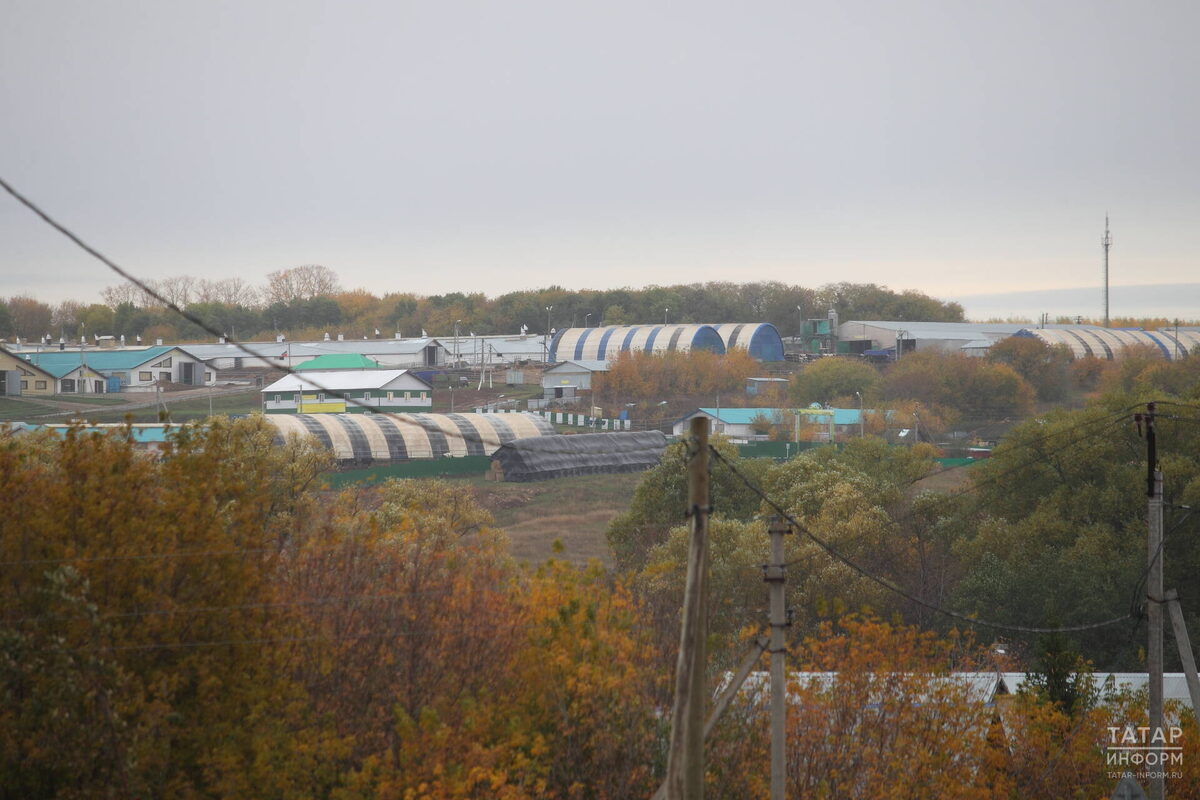Фото: © Михаил Захаров / «Татар-информ»