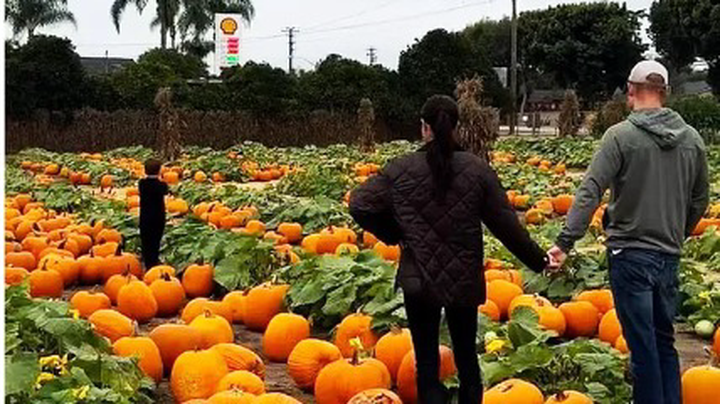  Фото: соцсети