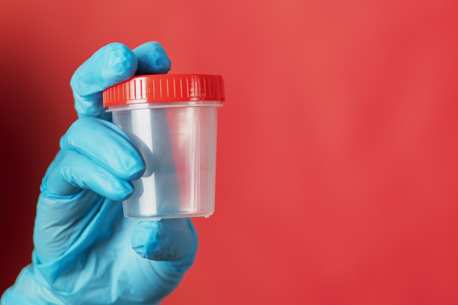    Shutterstock/FOTODOM