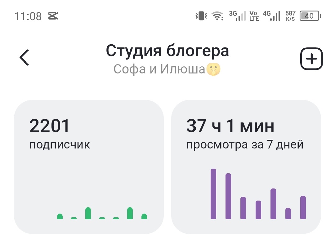 Скрин из студии дзен