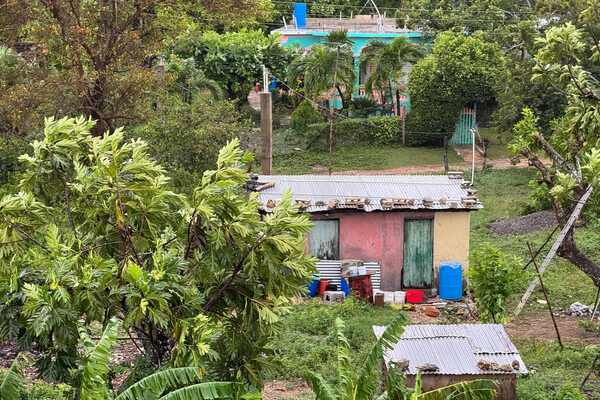 Предоставлено местными жителями  