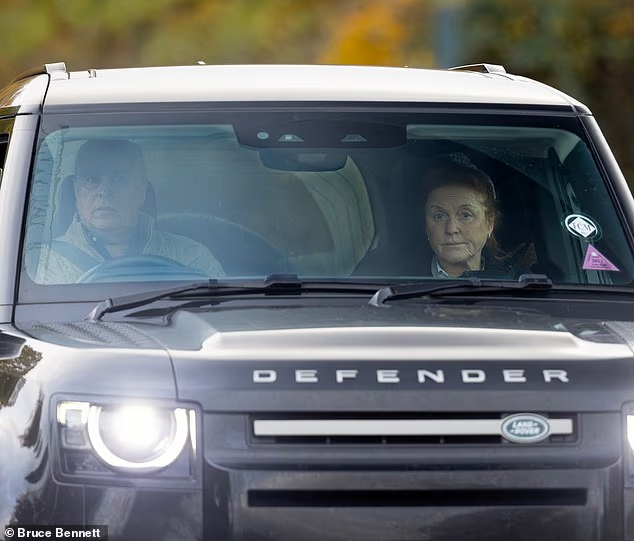 Фото Bruce Bennett